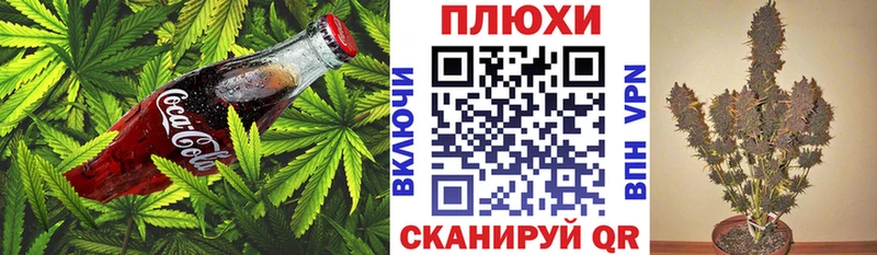 МЕГА зеркало  где найти   Ленинградская  Cannafood конопля 